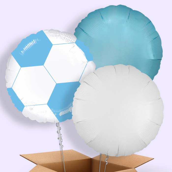 Light Blue Football Balloon in a Box - 3 Balloon | Small Indoor Plants