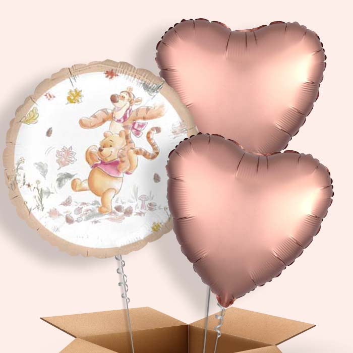 Winnie Pooh Balloons in a Box - 3 Balloon | Small Indoor Plants