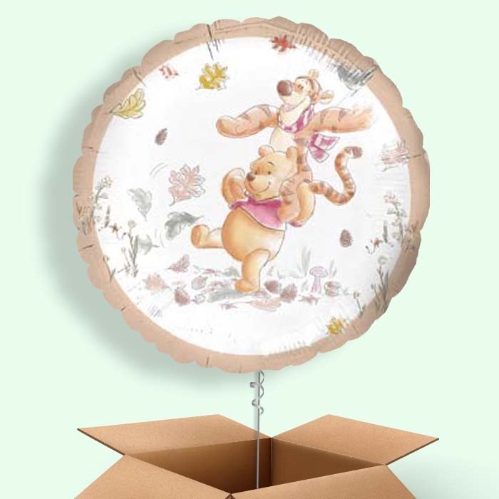 Winnie Pooh Balloons in a Box - 1 Balloon | Small Indoor Plants