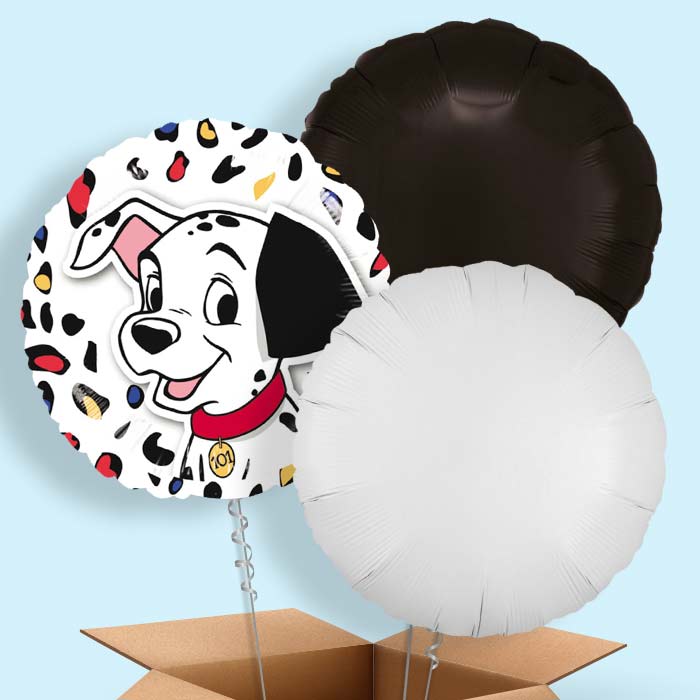 101 Dalmatians Balloon in a Box - 3 Balloon | Small Indoor Plants