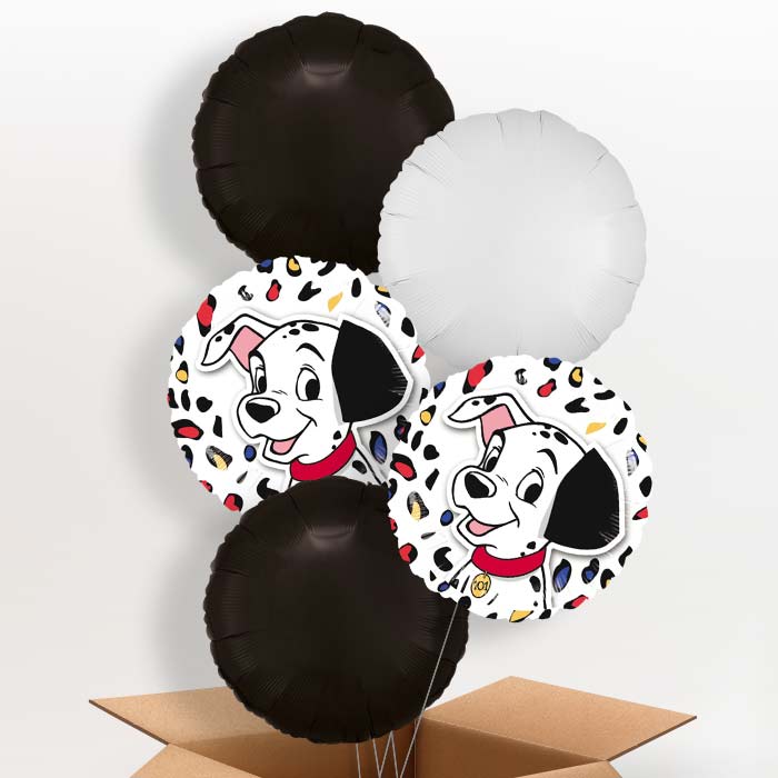 101 Dalmatians Balloon in a Box - 5 Balloon | Small Indoor Plants