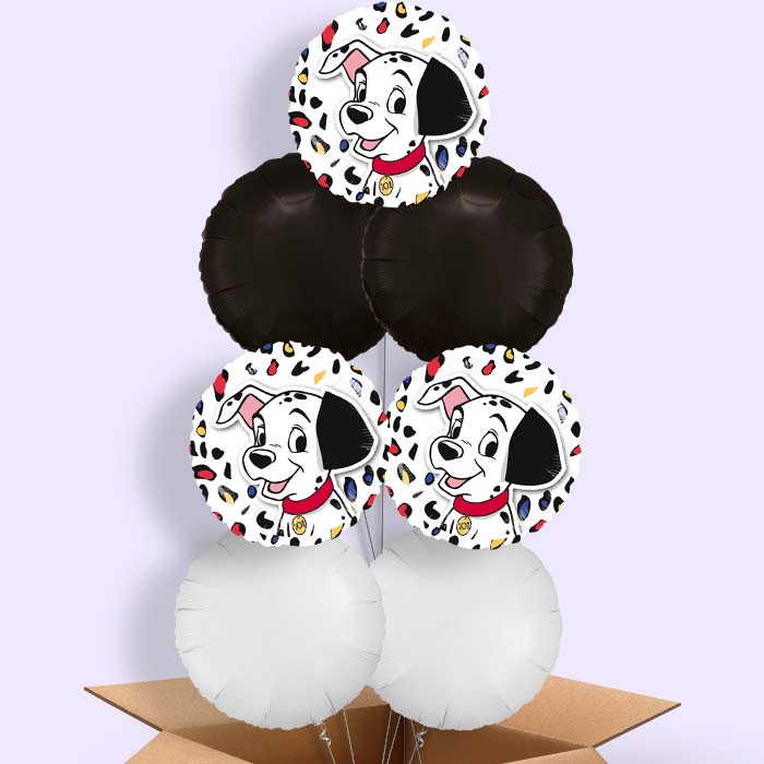 101 Dalmatians Balloon in a Box - 7 Balloon | Small Indoor Plants