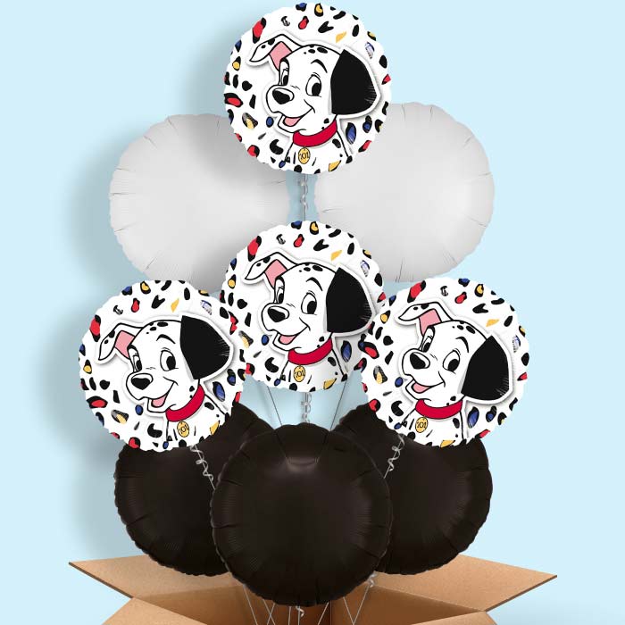 101 Dalmatians Balloon in a Box - 9 Balloon | Small Indoor Plants