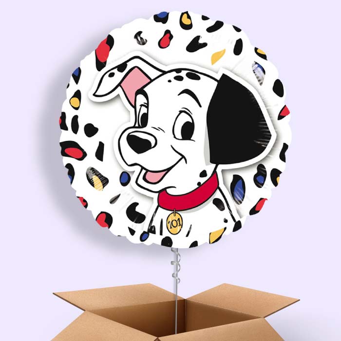 101 Dalmatians Balloon in a Box - 1 Balloon | Small Indoor Plants