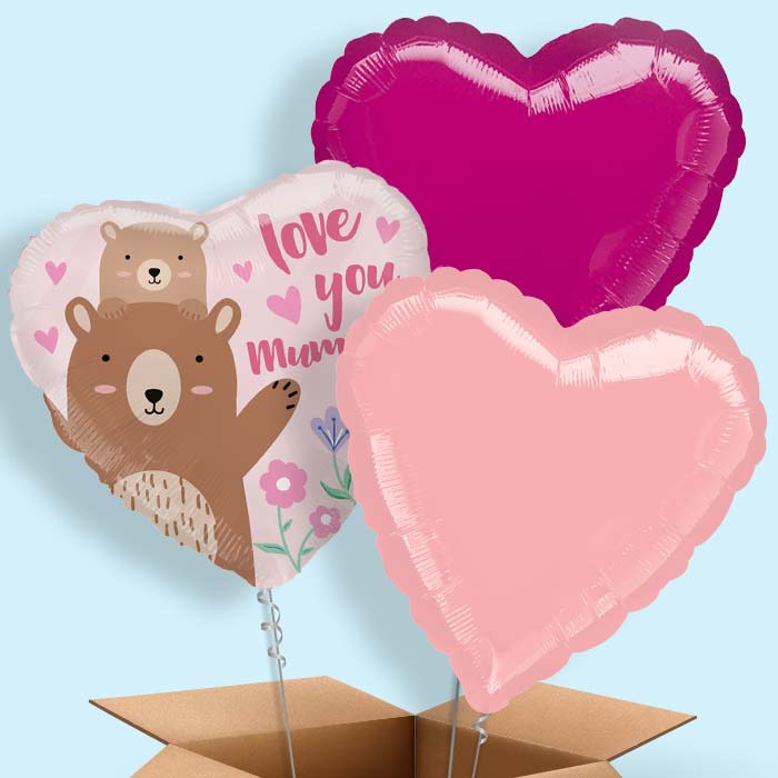 Love you Mummy Bear Balloon in a Box - 3 Balloon | Small Indoor Plants