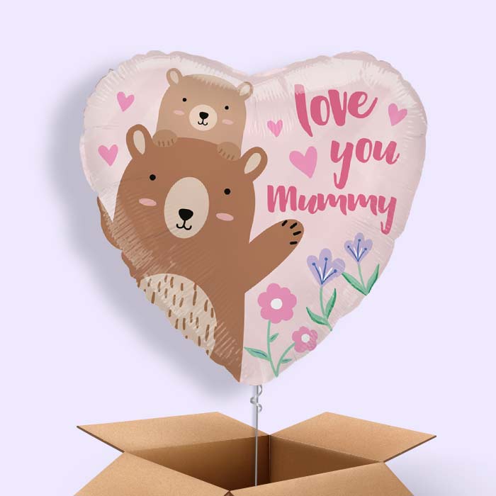 Love you Mummy Bear Balloon in a Box - 1 Balloon | Small Indoor Plants
