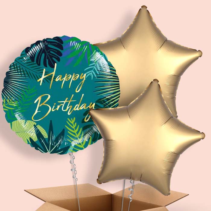 Tropical Leaf Birthday Balloons in a Box - 3 Balloon | Small Indoor Plants