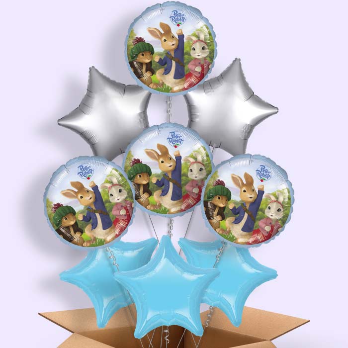 Peter Rabbit Balloon in a Box - 9 Balloon | Small Indoor Plants