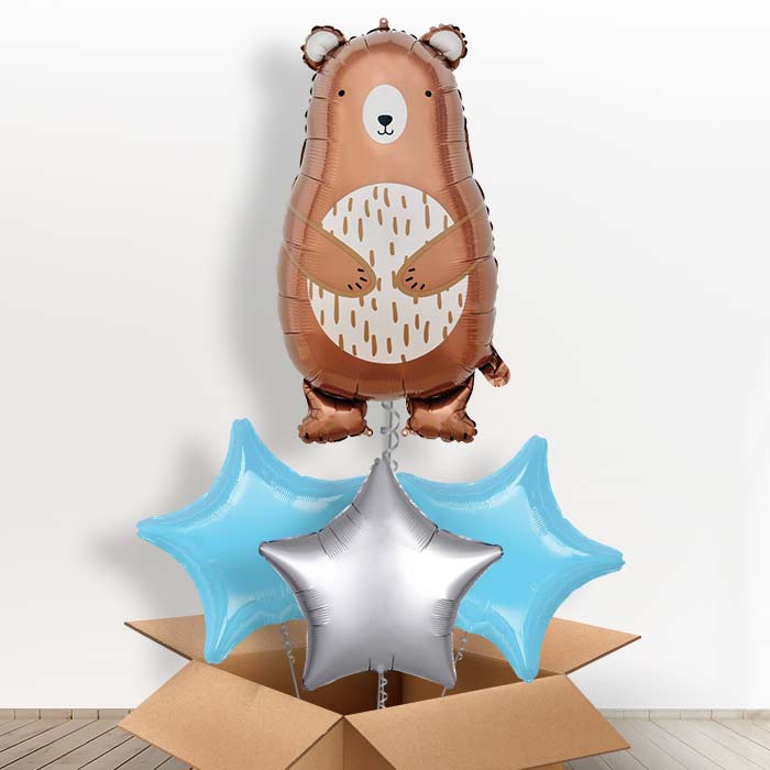 Daddy Bear Foil Balloon in a Box - With 3 Plain Balloons | Small Indoor Plants