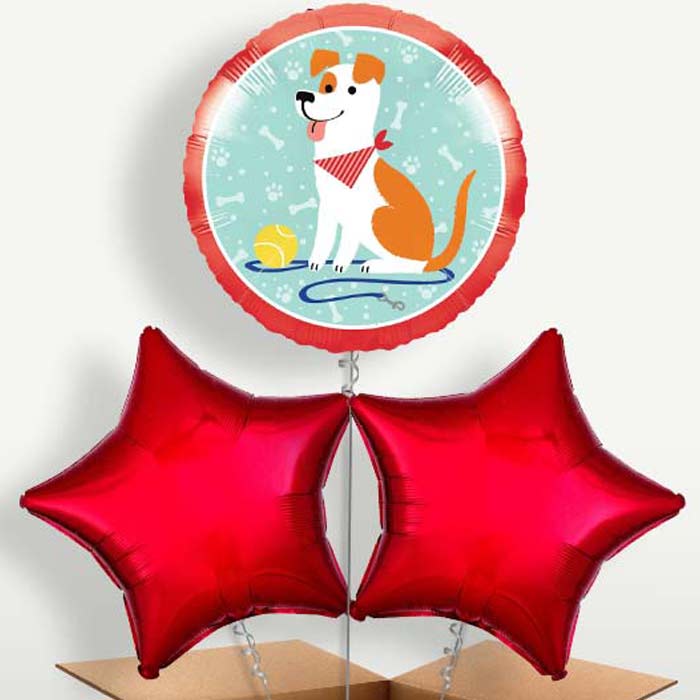 Dog Trio Balloon Bunch inflated with Helium | Small Indoor Plants