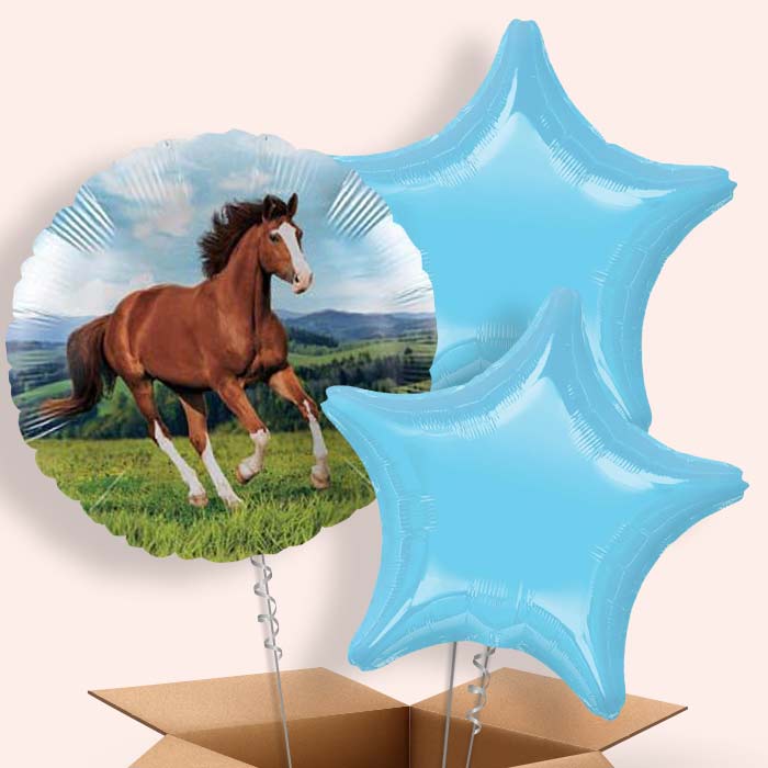 Horse Foil Balloon in a Box Gift - 3 Balloon | Small Indoor Plants