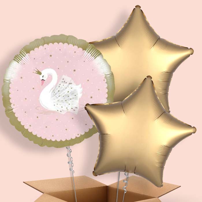 Stylish Swan Party Balloon in a Box - 3 Balloon | Small Indoor Plants