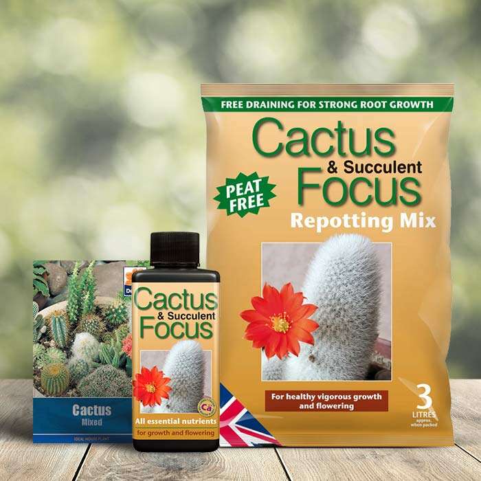 CactusSeeds1