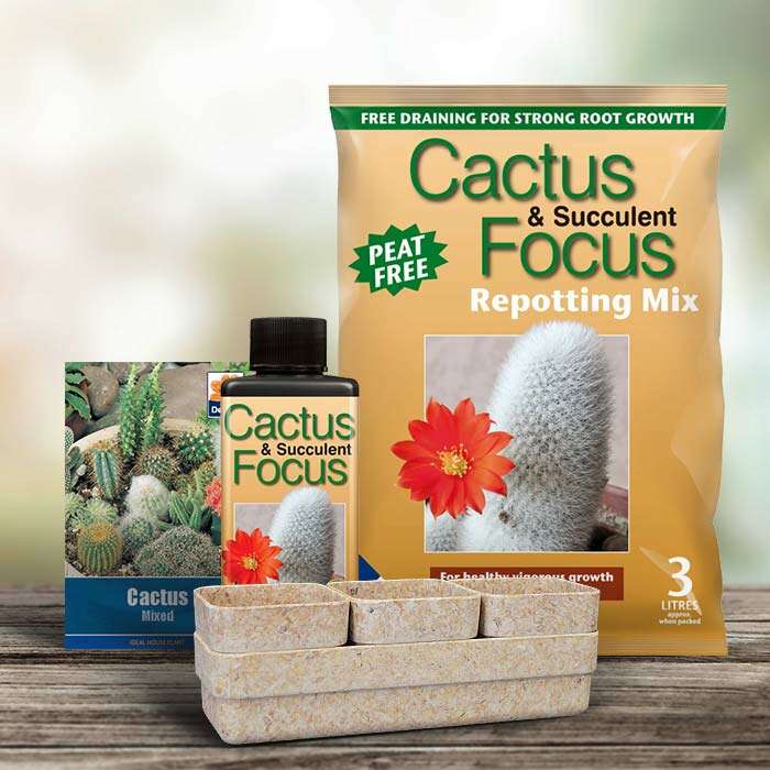 CactusSeeds2