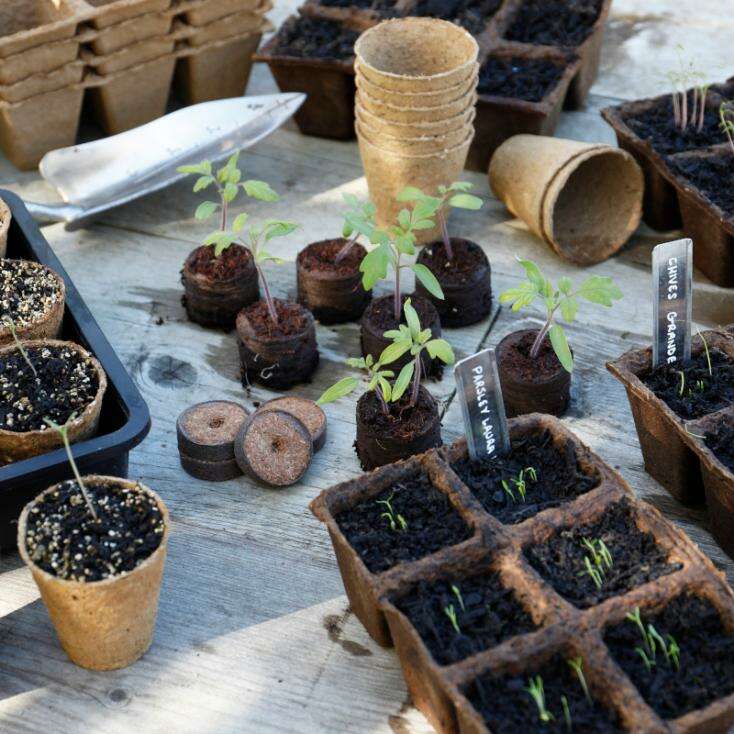 Gro-SureFibrePotsSquare6cminuse