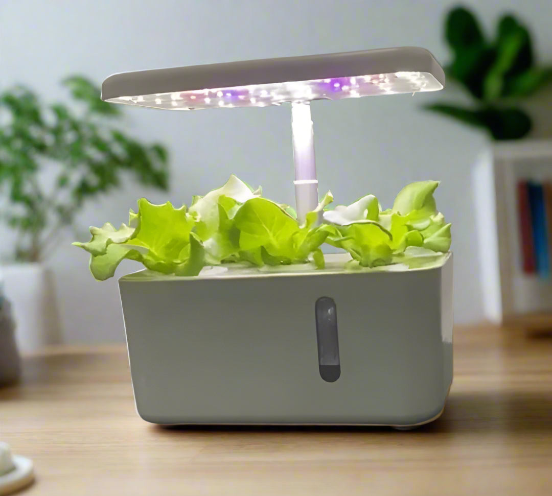 5 Pod Smart Garden Mini (W)