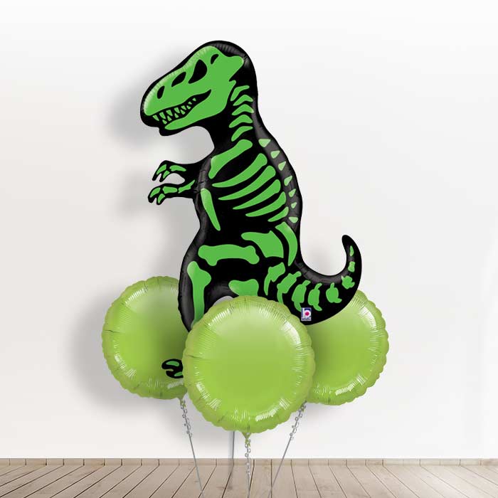T Rex Big Dinosaur Balloons in a Box Gift - With 3 Plain Balloons | Small Indoor Plants