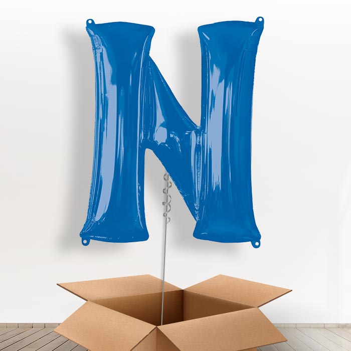 Personalised N Balloon in a Box - Blue - Giant Letter | Small Indoor Plants