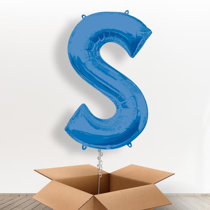 Personalised S Balloon in a Box - Blue - Giant Letter | Small Indoor Plants