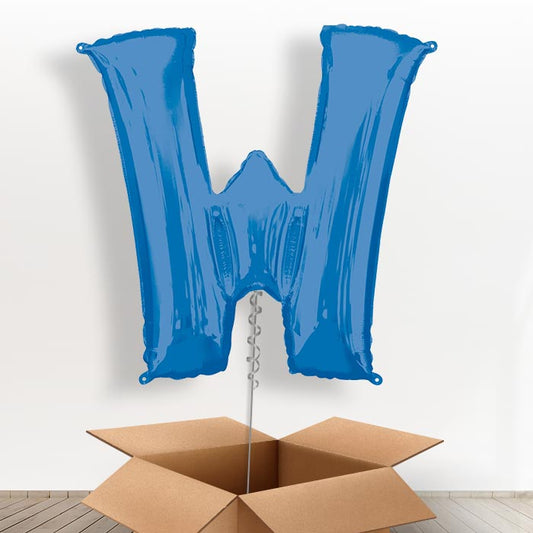 Personalised W Balloon in a Box - Blue - Giant Letter | Small Indoor Plants