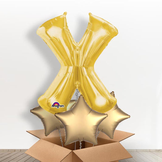 Personalised X Balloon in a Box - Gold - Giant Letter | Small Indoor Plants
