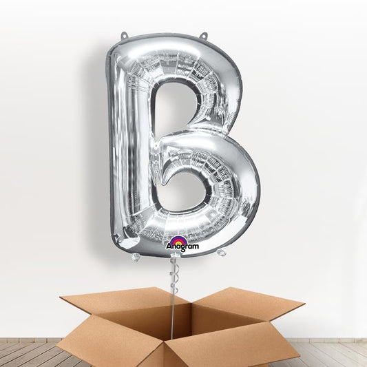 Personalised Letter B Balloon in a Box - Silver - Giant Letter | Small Indoor Plants