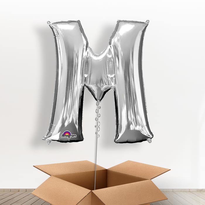 Personalised M Balloon in a Box - Silver - Giant Letter | Small Indoor Plants