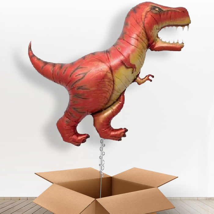 Red Balloon Dinosaur T-Rex in a Box - Giant Balloon | Small Indoor Plants