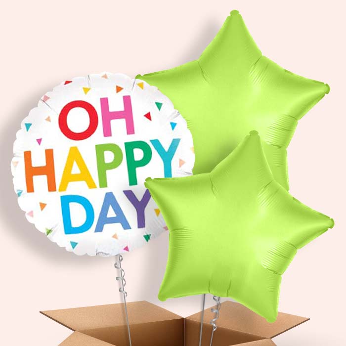 Rainbow Oh Happy Day Balloons in a Box - 3 Balloon | Small Indoor Plants