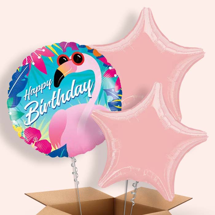 Flamingo Balloon in a Box - Happy Birthday - 3 Balloon | Small Indoor Plants