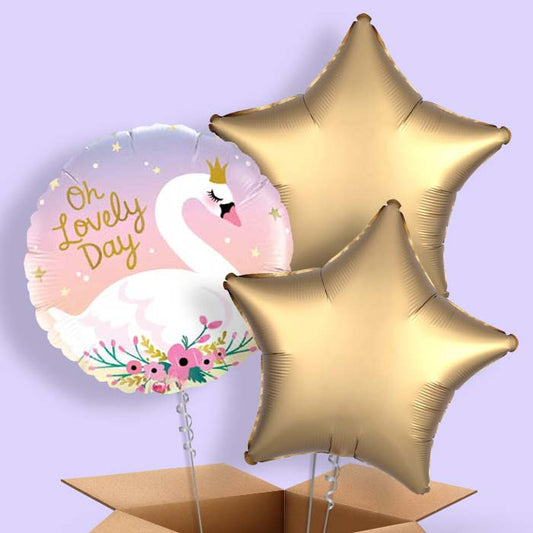 Oh Lovely Day Swan Balloons in a Box - 3 Balloon | Small Indoor Plants