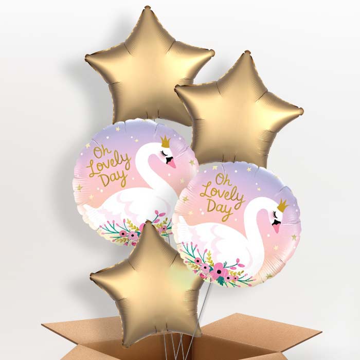 Oh Lovely Day Swan Balloons in a Box - 5 Balloon | Small Indoor Plants