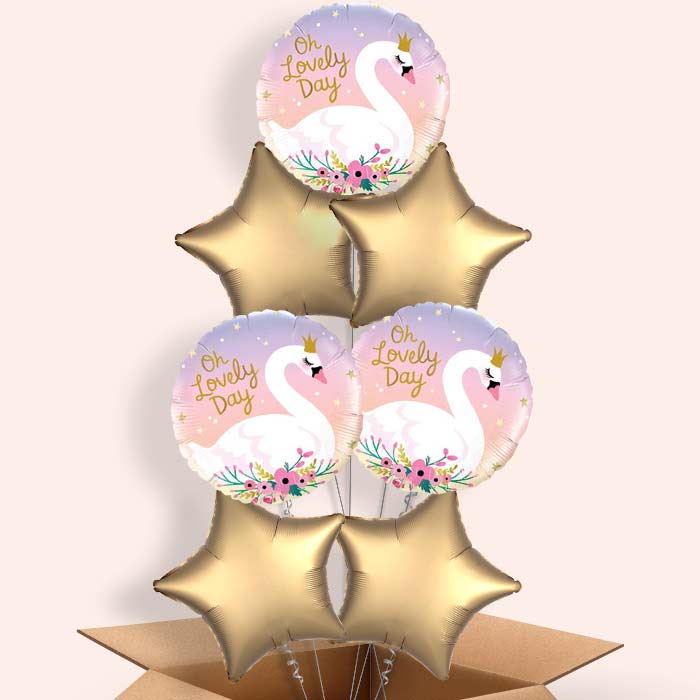 Oh Lovely Day Swan Balloons in a Box - 7 Balloon | Small Indoor Plants