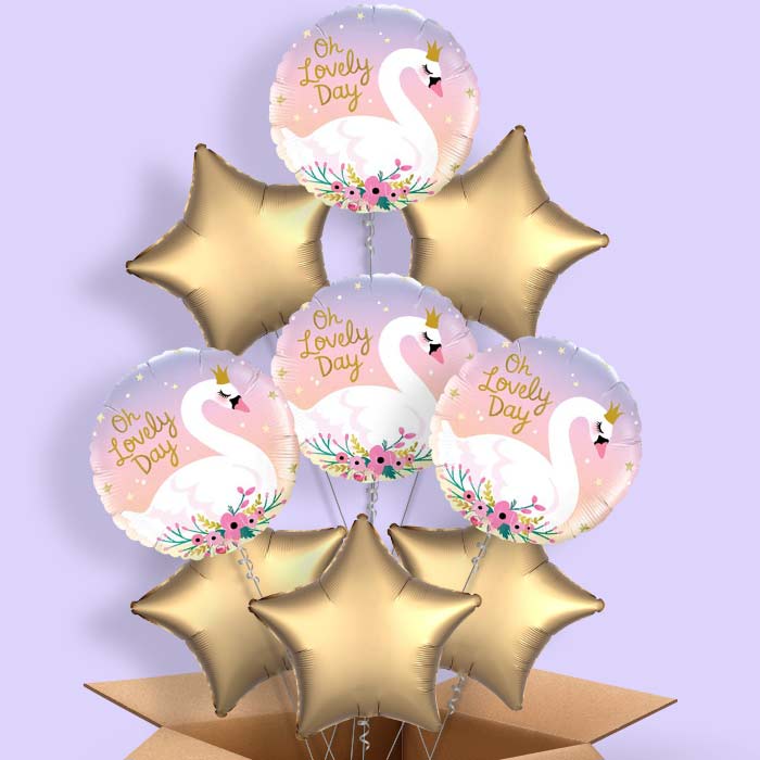 Oh Lovely Day Swan Balloons in a Box - 9 Balloon | Small Indoor Plants