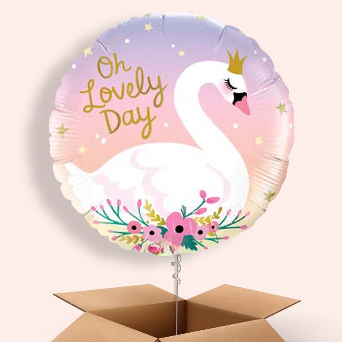 Oh Lovely Day Swan Balloons in a Box - 1 Balloon | Small Indoor Plants