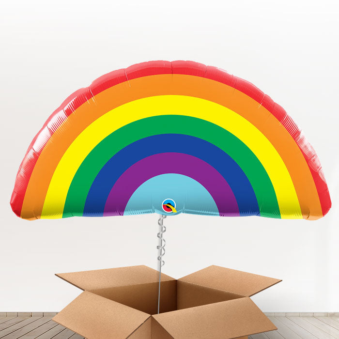 Giant Rainbow Balloons in a Box Gift - Giant Balloon | Small Indoor Plants