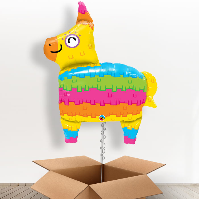 Rainbow Pinata Giant Shaped Balloon in a Box Gift - Giant Balloon | Small Indoor Plants