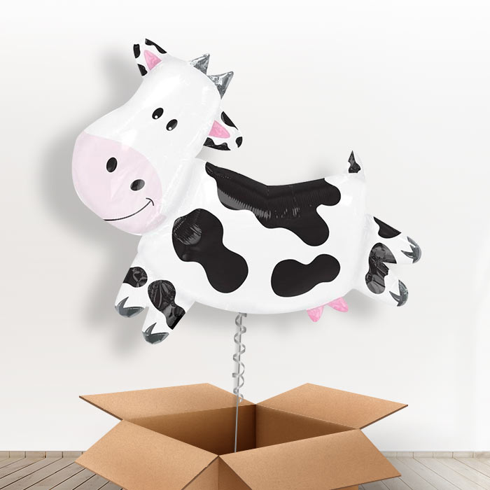 Giant Cow Balloon in a Box Gift - Giant Balloon | Small Indoor Plants