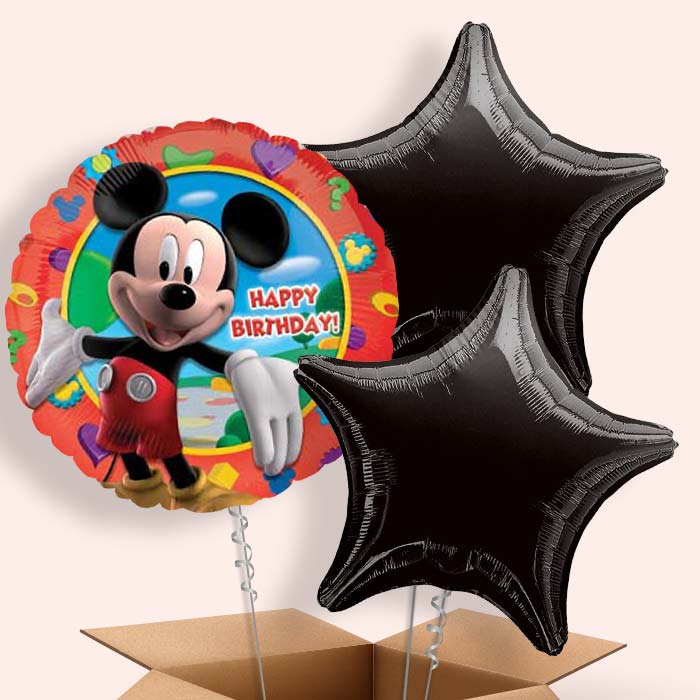 Mickey Mouse Happy Birthday Balloon in a Box - 3 Balloon | Small Indoor Plants