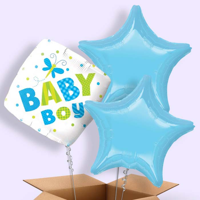 Baby Boy Balloons Delivered (Dragonfly) - 3 Balloon | Small Indoor Plants