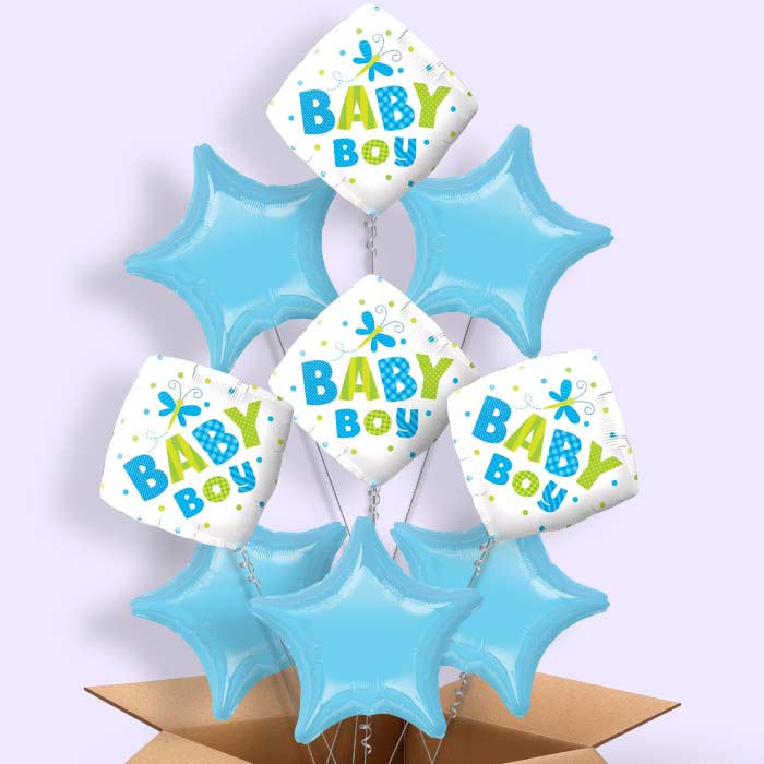 Baby Boy Balloons Delivered (Dragonfly) - 9 Balloon | Small Indoor Plants