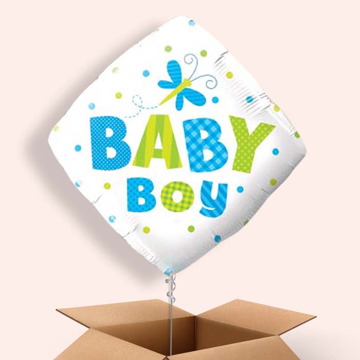 Baby Boy Balloons Delivered (Dragonfly) - 1 Balloon | Small Indoor Plants