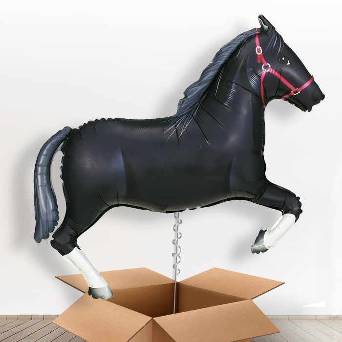 Black Horse Balloon in a Box - Giant Balloon | Small Indoor Plants