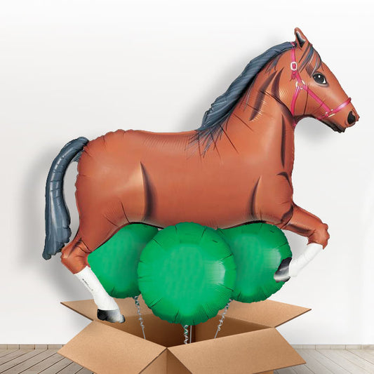 Dark Brown Horse Helium Balloons in a Box - With 3 Themed Balloons | Small Indoor Plants