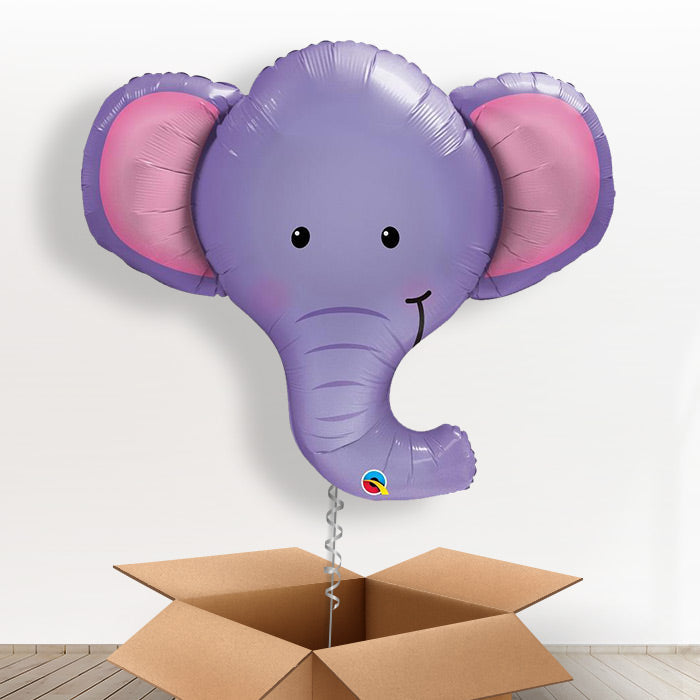 Elephant Head Giant Shaped Balloon in a Box Gift - Giant Balloon | Small Indoor Plants