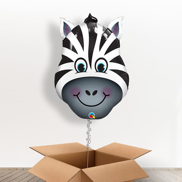 Giant Head Zebra Balloon in a Box - Giant Balloon | Small Indoor Plants