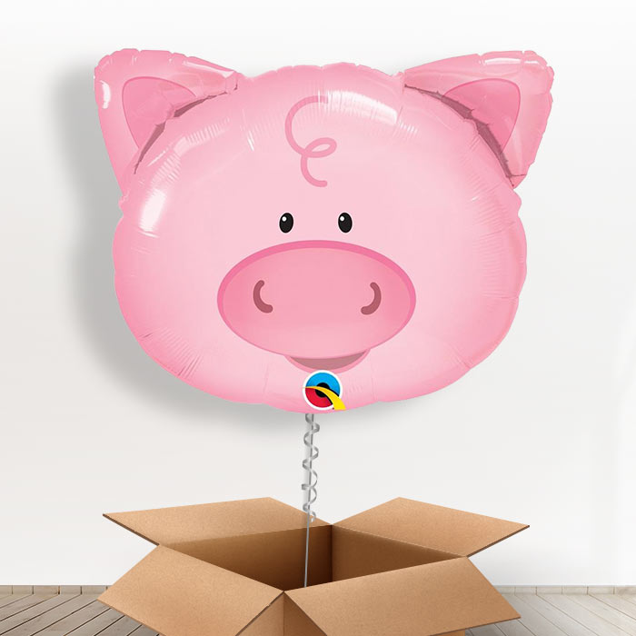 Giant Pig Balloon in a Box Gift - Giant Balloon | Small Indoor Plants