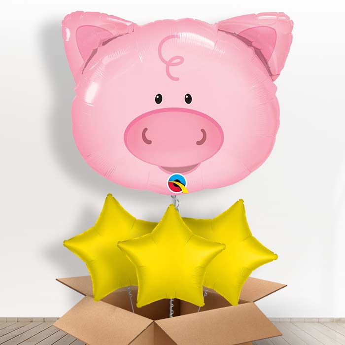 Giant Pig Balloon in a Box Gift - With 3 Plain Balloons | Small Indoor Plants