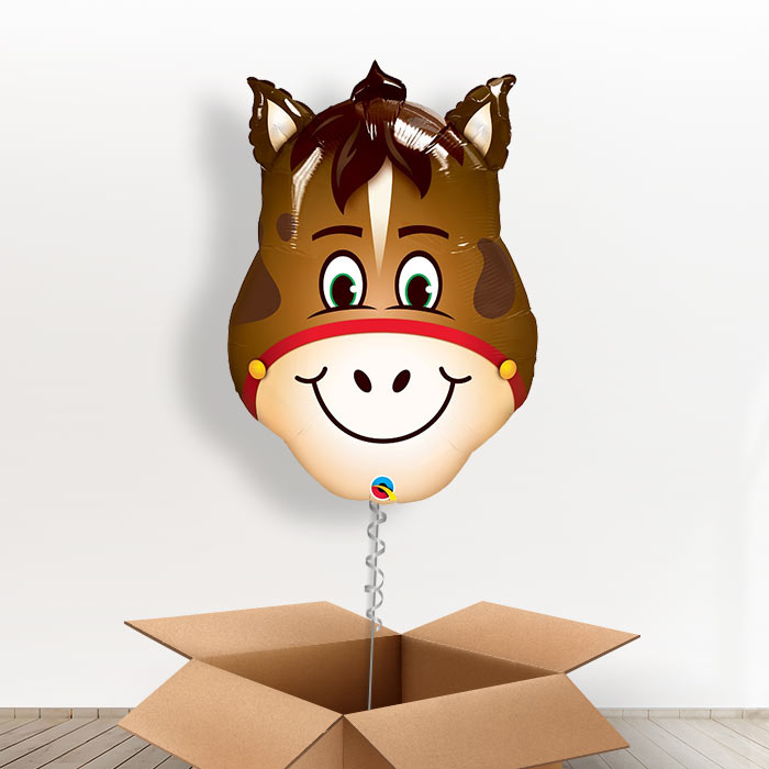 Giant Head Horse Balloon in a Box Gift - Giant Balloon | Small Indoor Plants