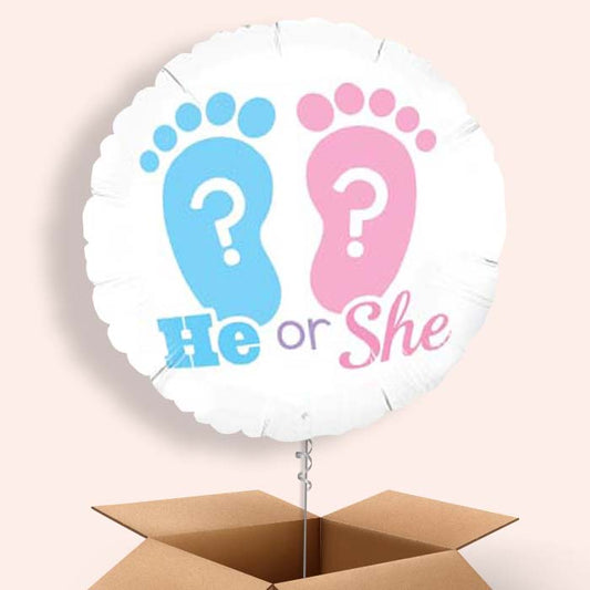 Balloon Gender Reveal in a Box (He or She) - 1 Balloon | Small Indoor Plants